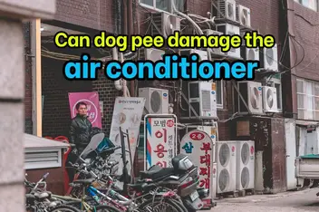 how to stop dog from peeing on ac unit