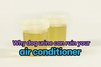 how to stop dog from peeing on ac unit